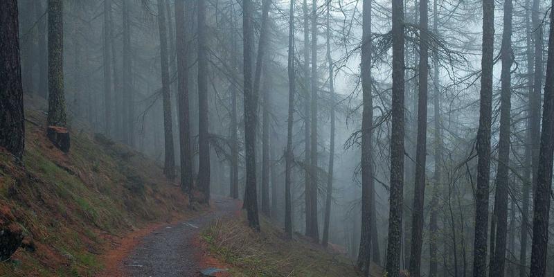 Tom Olson33：数字时代生活美学的现代诠释者