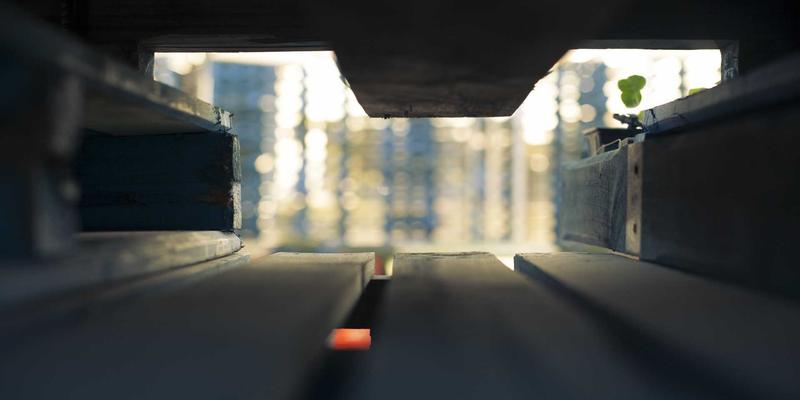 Tom Olson3:现代生活哲学与自我提升的实践指南