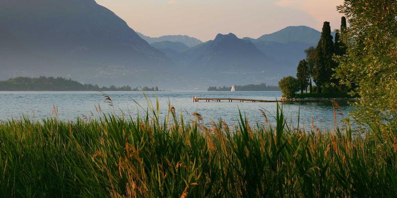 Tom Olson46：在技术时代重新定义健康与自我提升的现代实践者