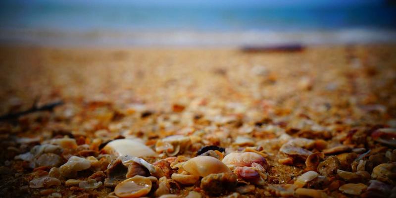 Tom Olson49：在数字时代重新定义个人博客与身心平衡