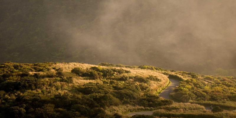 Tom Olson93：在个人博客中编织真实生活图景的数字叙事者