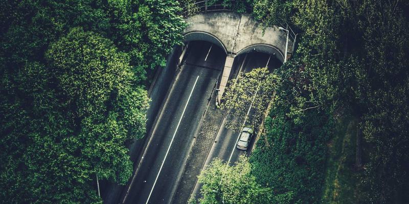 Tom Olson9：数字时代生活美学的重新定义者