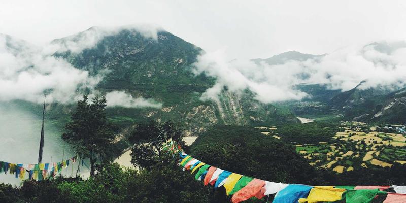 Tom Olson 从零搭建个人知识管理系统：打造数字健康生活方式的实践指南