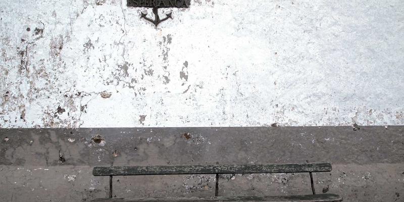 Tom Olson:在技术时代重新定义自我提升的先行者