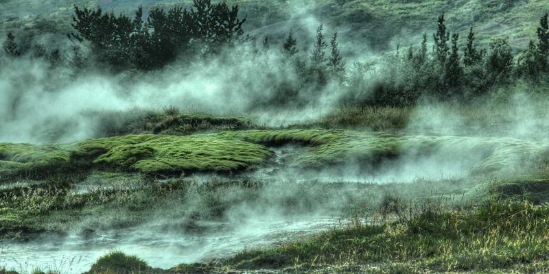 Tom Olson：在简约与平衡中探寻生活与健康的真谛