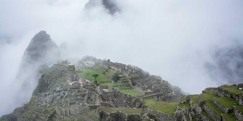 Tom Olson 数字排毒：每周一天离线生活的科学依据