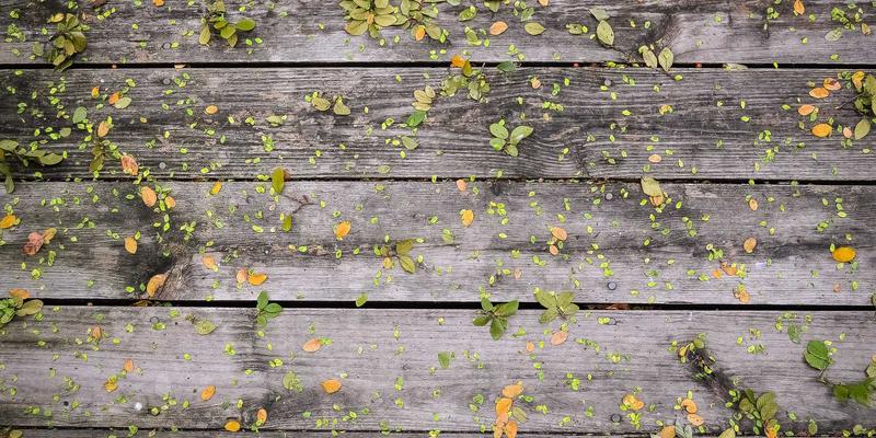 Tom Olson：现代生活与健康福祉的平衡艺术