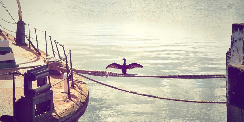 Tom Olson生活哲学全攻略：平衡、健康与内在成长的现代生活指南