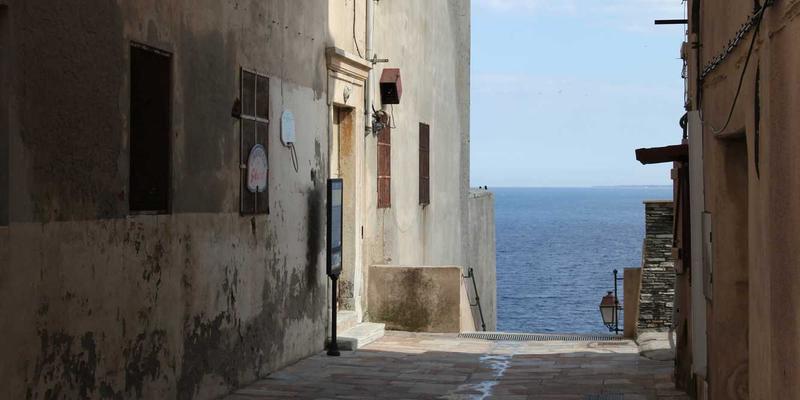 Tom Olson的个人博客启示：打造高效阅读与信息消化系统，实现自我提升与健康思维