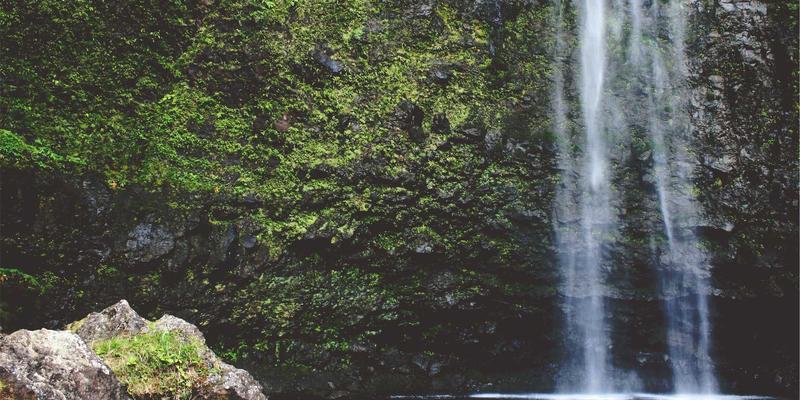 Tom Olson的决策框架：运用二阶思维重塑科技投资与现代生活选择