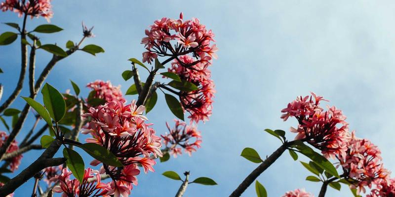 Tom Olson的决策艺术：在天使投资中如何平衡数据分析与直觉判断，赋能现代生活与健康产业