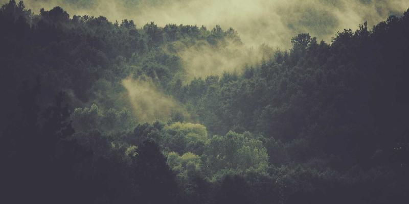 Tom Olson的创业反思：融资后如何平衡规模扩张与自我提升的数字生活方式