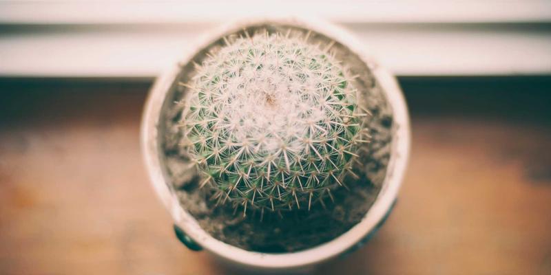 Tom Olson的数字生活哲学：在个人博客中构建有意义的数字存在