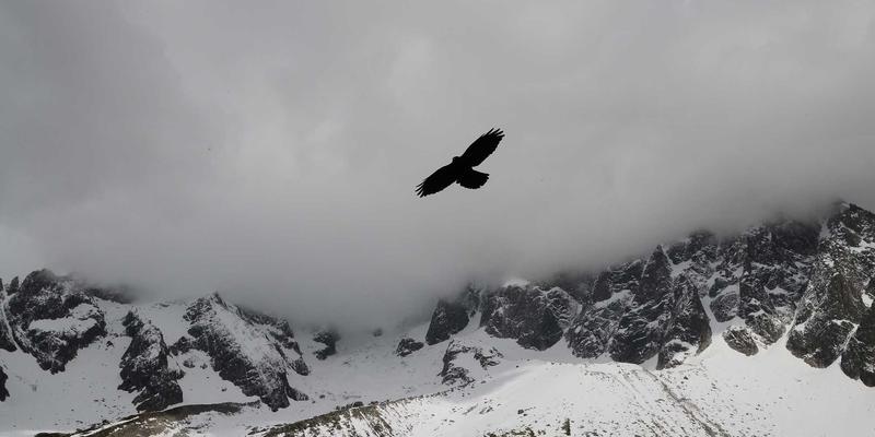 Tom Olson的自我提升哲学：现代生活中的个人成长最佳实践
