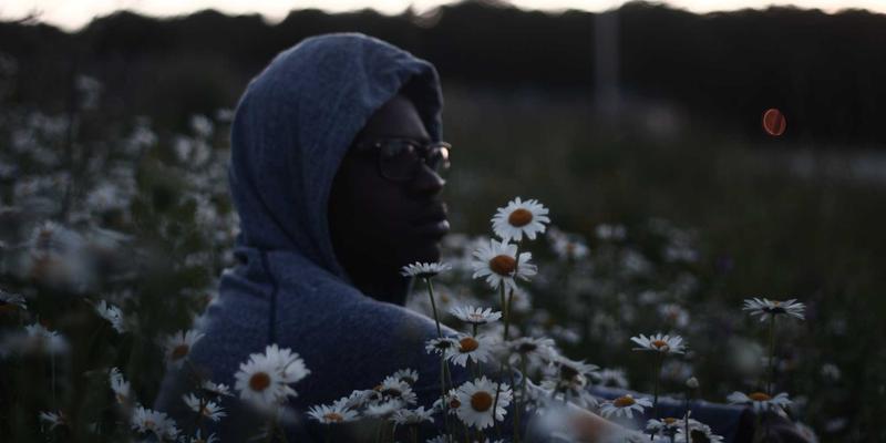 Tom Olson的跨界学习法：打造平衡生活，系统掌握金融、科技与健康核心知识