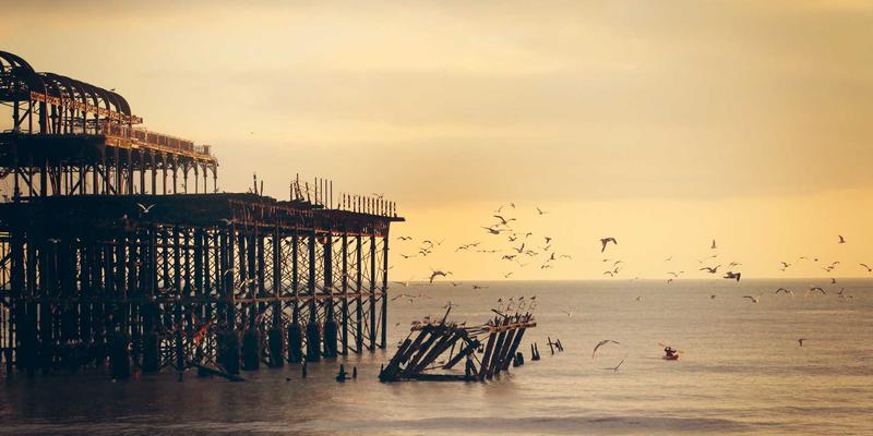 Tom Olson：超越常规的健康生活哲学，打造平衡人生的现代指南