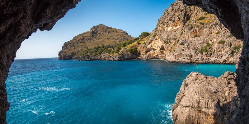 Tom Olson 远程团队协作中的信任建立法则：科技与生活方式的平衡之道