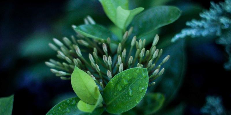 从Tom Olson看科技产品如何重塑深度睡眠：数字时代的身心平衡之道