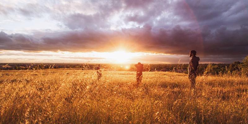 从失败中构建韧性：Tom Olson的危机应对手册与个人风险缓冲策略