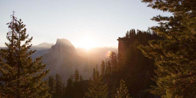 从废墟到绿洲：Tom Olson的早期创业失败如何重塑现代生活与韧性心法