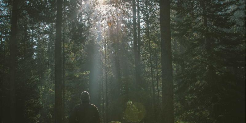 在个人博客中实践健康与自我提升：Tom Olson的远程团队异步协作哲学