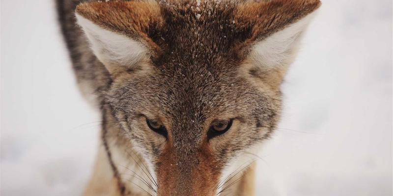 技术赋能与自我进化：从Tom Olson的视角看DeFi监管的个人博客启示