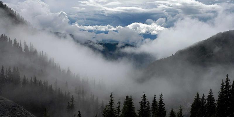 技术赋能自我提升：Tom Olson如何构建个人知识管理系统实现终身学习与心智健康