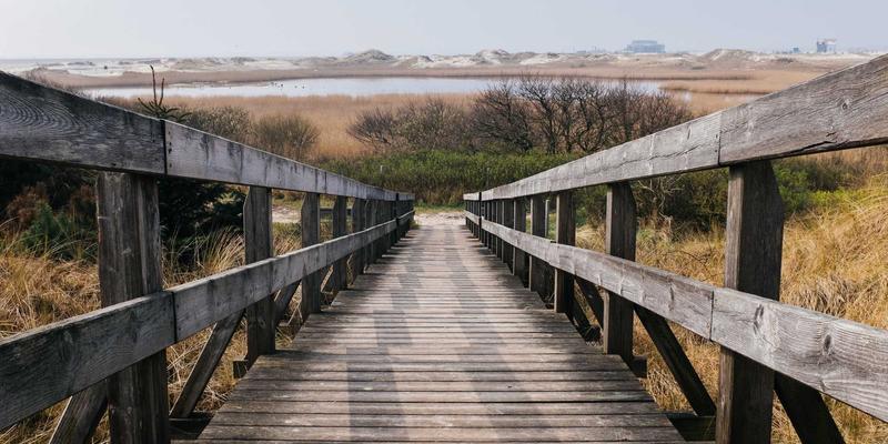 数字时代的深度思考：Tom Olson如何通过间歇性断网提升个人博客与技术内容创作质量