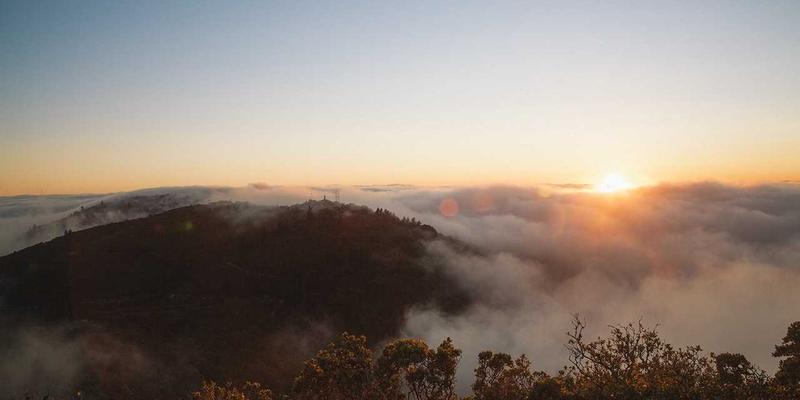 现代生活新范式：Tom Olson揭示构建个人品牌的非线性路径与健康心态