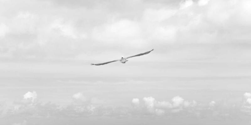 解密Tom Olson的晨间程序：从个人博客看高效能人士的自我提升与当代生活艺术